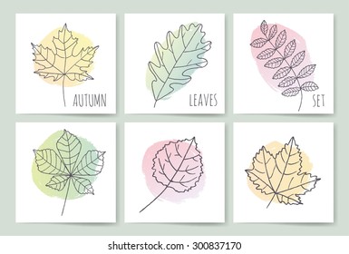 Template. Autumn background with leaves. Set leaf sketch. Autumn doodle set. Hand draw leaves. Set of leaves sketch for you design