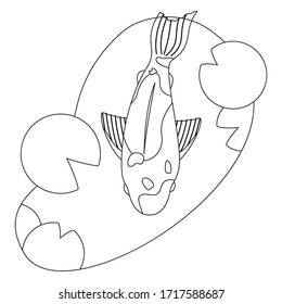 template for baby coloring. koi carp swimming in a pond with water lilies. linear style