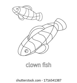 template for baby coloring. two clown fishes swimming underwater. linear style