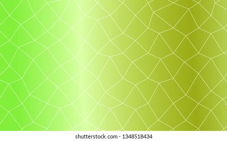Template background with curved line. polygonal mesh style. For your home interior wallpaper, fashion print. Vector illustration. Creative gradient color