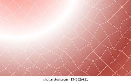 Template background with curved line. polygonal mesh style. For your home interior wallpaper, fashion print. Vector illustration. Creative gradient color