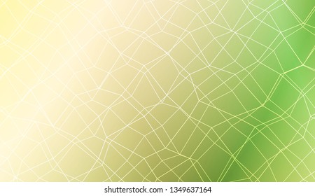 Template background with curved line. polygonal mesh style. For your home interior wallpaper, fashion print. Vector illustration. Creative gradient color
