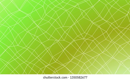 Template background with curved line. polygonal mesh style. For your home interior wallpaper, fashion print. Vector illustration. Creative gradient color