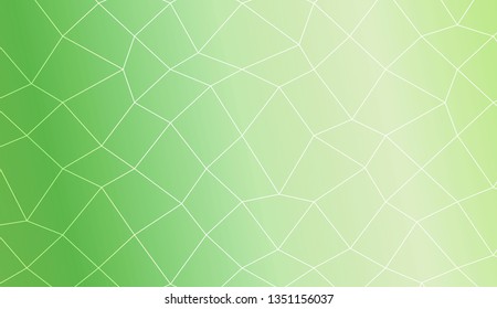 Template background with curved line. polygonal mesh style. For your home interior wallpaper, fashion print. Vector illustration. Creative gradient color