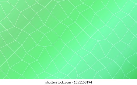 Template background with curved line. polygonal mesh style. For your home interior wallpaper, fashion print. Vector illustration. Creative gradient color