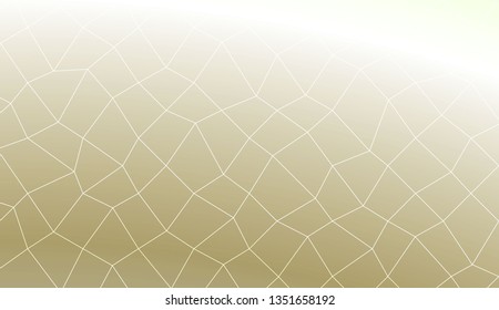 Template background with curved line. polygonal mesh style. Modern pattern for a brand book. Vector illustration. Creative gradient color