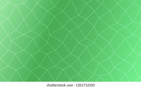 Template background with curved line. polygonal mesh style. For your home interior wallpaper, fashion print. Vector illustration. Creative gradient color