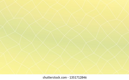 Template background with curved line. polygonal mesh style. For your home interior wallpaper, fashion print. Vector illustration. Creative gradient color