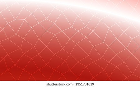 Template background with curved line. polygonal mesh style. For your home interior wallpaper, fashion print. Vector illustration. Creative gradient color