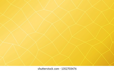 Template background with curved line. polygonal mesh style. For your home interior wallpaper, fashion print. Vector illustration. Creative gradient color