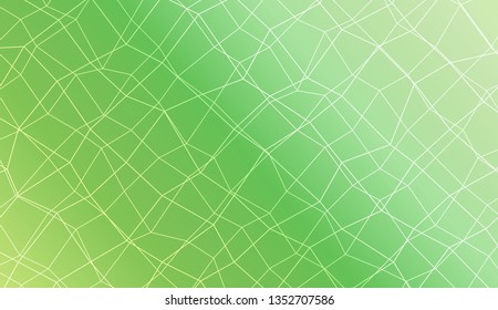Template background with curved line. polygonal mesh style. For your home interior wallpaper, fashion print. Vector illustration. Creative gradient color