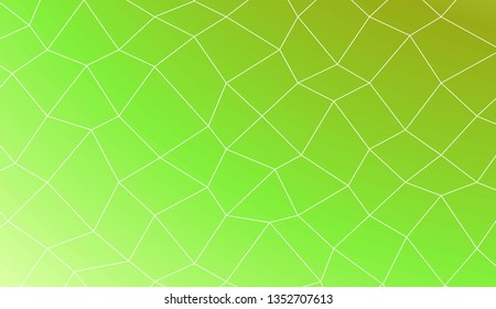 Template background with curved line. polygonal mesh style. For your home interior wallpaper, fashion print. Vector illustration. Creative gradient color