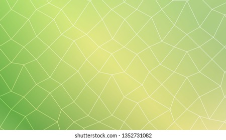 Template background with curved line. polygonal mesh style. For your home interior wallpaper, fashion print. Vector illustration. Creative gradient color