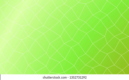 Template background with curved line. polygonal mesh style. For your home interior wallpaper, fashion print. Vector illustration. Creative gradient color