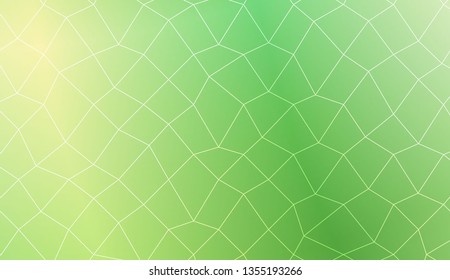Template background with curved line. polygonal mesh style. For your home interior wallpaper, fashion print. Vector illustration. Creative gradient color