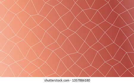 Template background with curved line. polygonal mesh style. For your home interior wallpaper, fashion print. Vector illustration. Creative gradient color