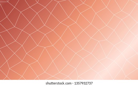 Template background with curved line. polygonal mesh style. For your home interior wallpaper, fashion print. Vector illustration. Creative gradient color