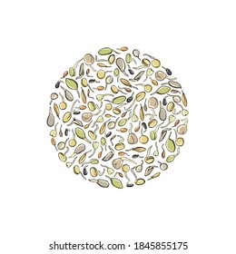 Template and background of growing seeds - vector illustration. Microgreens in the style of sketch and hand drawing. Sprouts Healthy and wholesome vegan food for restaurants, cafes and kitchens