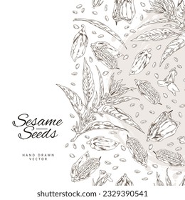 Template background with outline sketch drawing sesame plant with leaves, capsules, seeds and flowers. Vector engraving hand drawn illustration with lettering, watercolor stain on white background