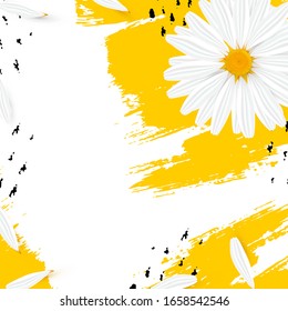 Template background with realistic chamomile. Yellow daisy flower with petal on hand drawn brush ink. Cosmetic camomile head for sale, card, ad, medicine post. Vector Illustration 