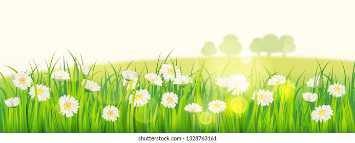 Template background Spring field of flowers of daisies and green juicy grass, meadow, blue sky, white clouds. Vector, illustration, isolated, banner, flyer