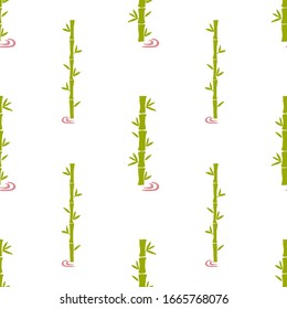 Template with bamboo on white background for decoration design. Seamless floral background. Graphic vector pattern.