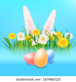 Template banner Easter eggs Ears of an easter Bunny sticking out dandelions and daisies, grass, green nature background Vector, illustration, isolated