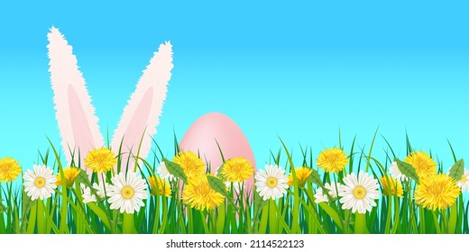 Template banner Easter eggs Ears of an easter Bunny sticking out dandelions and daisies, grass, green nature background Vector, illustration, isolated