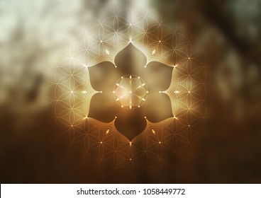 Template of banner, horizontal format; Spiritual sacred geometry; "Flower of life" and lotus on psychedelic natural forest photographic background; Yoga, meditation and relax.