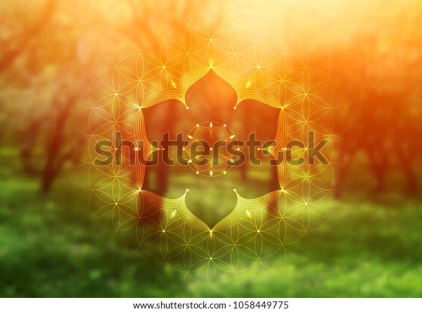バナーのテンプレート 横書き 霊的な幾何学 サイケデリックな自然林の写真の背景に 生の花 と蓮 ヨガ 瞑想 リラックス のベクター画像素材 ロイヤリティフリー