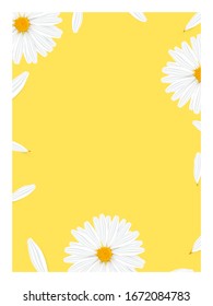 Banner de plantilla con manzanilla realista y pétalos voladores. Flor de margarita sobre fondo gris amarillo. Cabezal de manzanilla estética a la venta, tarjeta, anuncio, post de medicina.  Ilustración vectorial 