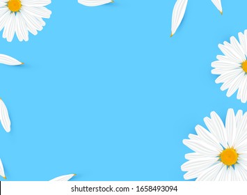 Template banner with realistic chamomile with petals. Daisy flower on blue background. Cosmetic camomile head for sale, card, ad, medicine post. Vector Illustration 
