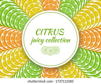 Template of a banner with sliced pieces of citrus fruit. Bright tropical fruits. Background to decorate the text. Stock vector illustration. Ideas for designs, cards, cover menus, print, packaging.