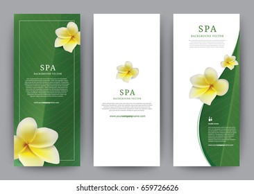 Plantilla Banner flor Spa Frangipani, Green Leaf Diseño moderno, folleto con póster, ilustración vectorial