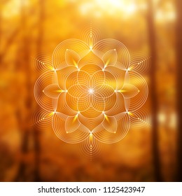 Template of banner for web and social media, square format; Spiritual sacred geometry; Yantra, chakra or lotus on psychedelic blurred background; Yoga, meditation and relax.