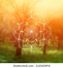 Template of banner for web and social media, square format; Spiritual sacred geometry; Yantra, chakra or lotus on psychedelic blurred background; Yoga, meditation and relax.