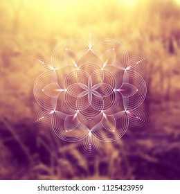 Template of banner for web and social media, square format; Spiritual sacred geometry; Yantra, chakra or lotus on psychedelic blurred background; Yoga, meditation and relax.