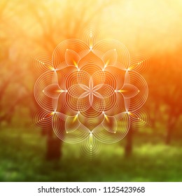 Template of banner for web and social media, square format; Spiritual sacred geometry; Yantra, chakra or lotus on psychedelic blurred background; Yoga, meditation and relax.