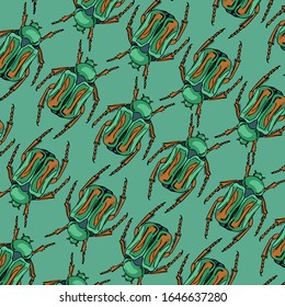 template. beetles on a blue background. color drawing.