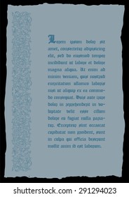 Template book page in a medieval style. Place for text. Floral frame of interwoven stems, foliage and flowers. Vector edging, design element and page decoration. Vector retro background