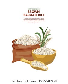 Template for the brown basmati rice package with the burlap sack of rice cereal, vector illustration isolated on white background. Elements for promo poster or banner.