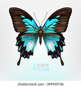 Template of Butterfly - Papilio ulysses. Realistic insect on blured background for modern poster/banner/layout/brochure/flyer/booklet/advertising. Vector image.