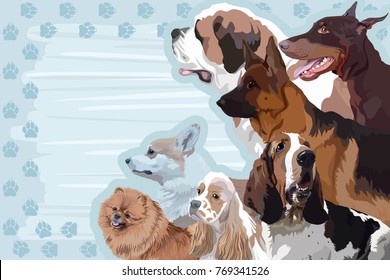 A template for a card, a calendar with a frame from the tracks and a dog St Bernard, American cocker spaniel, Basset hound, Pomeranian spitz, Pembroke welsh corgi, Doberman pinscher, German shepherd.