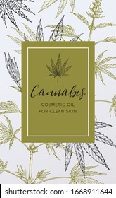 Tarjeta de plantilla con cannabis, boceto de cáñamo. Hierbas medicinales y cosméticas. Plantas sanadoras ecológicas silvestres. Vector vintage de fondo floral blanco y negro dibujado a mano. Grabados. Hierbas para la farmacia. 