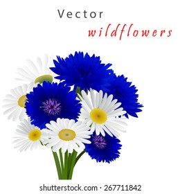 Template card for greeting, invitation, wedding, birthday, Easter with flowers chamomile and cornflowers 