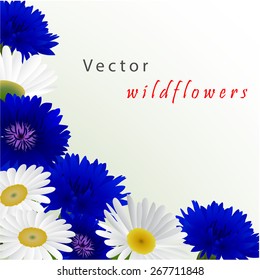 Template card for greeting, invitation, wedding, birthday, Easter with flowers chamomile and cornflowers 