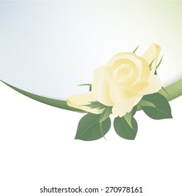 Template card for greeting, invitation, wedding, birthday, Easter with yellow roses 