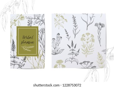 Template card with medicinal herbs. Seamless vector pattern. Wild healing plants. Vintage flowers. Hand drawing illustration. Engravings style. Botanical illustration. Pharmacy herbs.