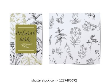 Template card with medicinal herbs. Seamless vector pattern. Wild healing plants. Vintage flowers. Hand drawing illustration. Engravings style. Botanical illustration. Pharmacy natural herbs.