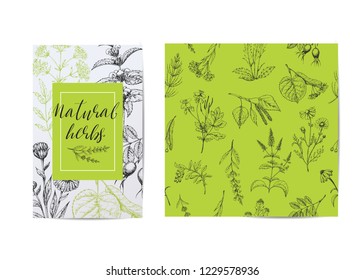 Template card with medicinal herbs. Seamless vector pattern. Wild healing plants. Vintage flowers. Hand drawing illustration. Engravings style. Botanical green background. Pharmacy natural herbs.